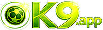 OK9 logo